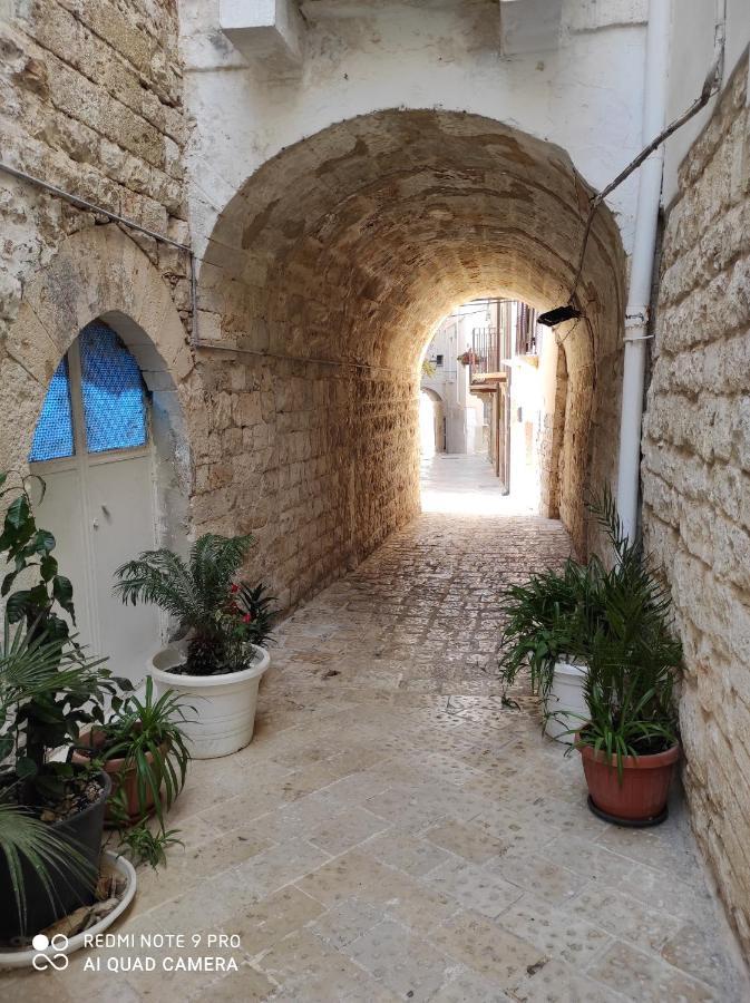 Il Tufo D'Amare Appartamento Affitti Brevi Rutigliano Εξωτερικό φωτογραφία